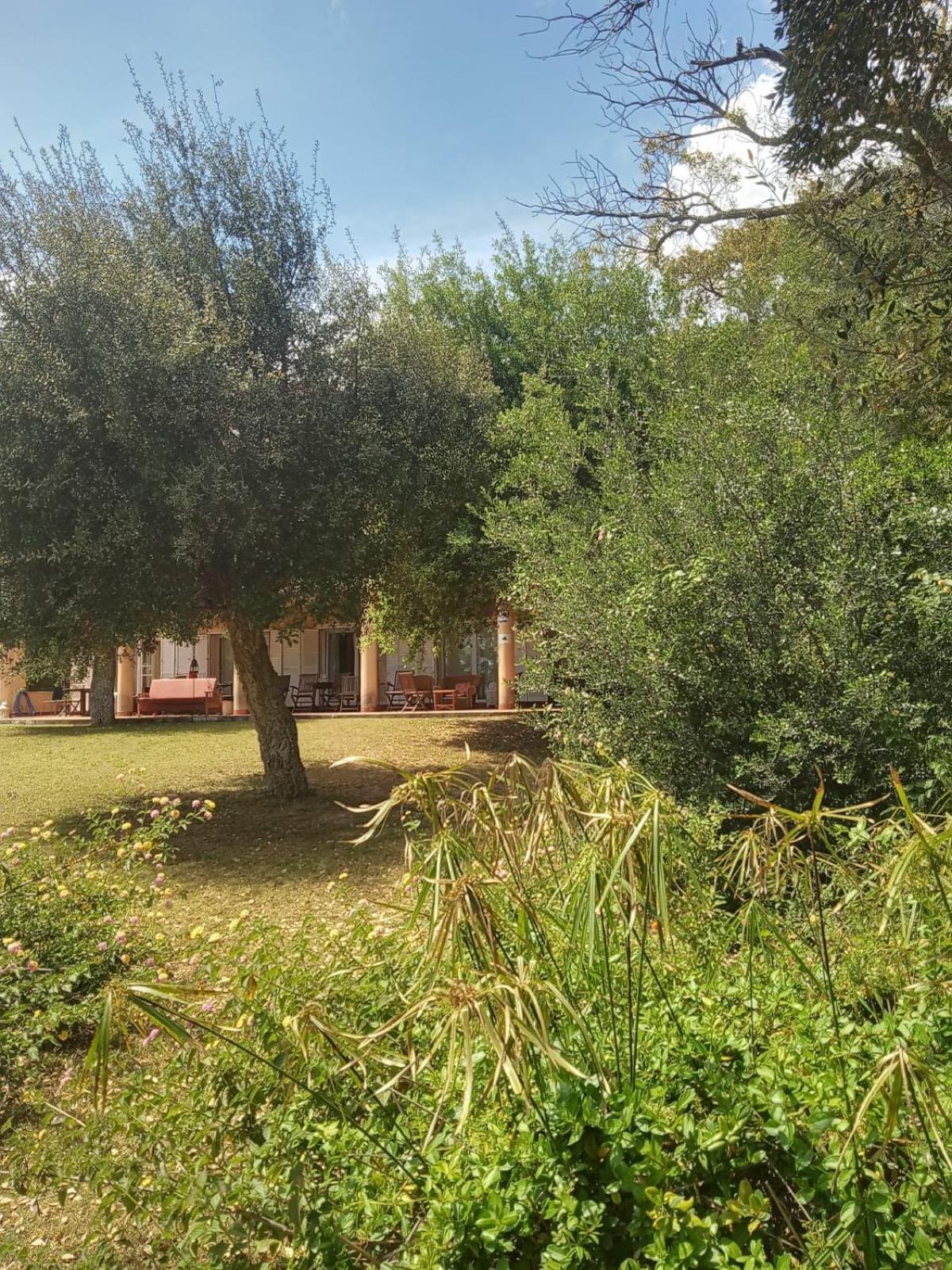 Sotogrande. Estancia Privada En Plena Naturaleza Bagian luar foto