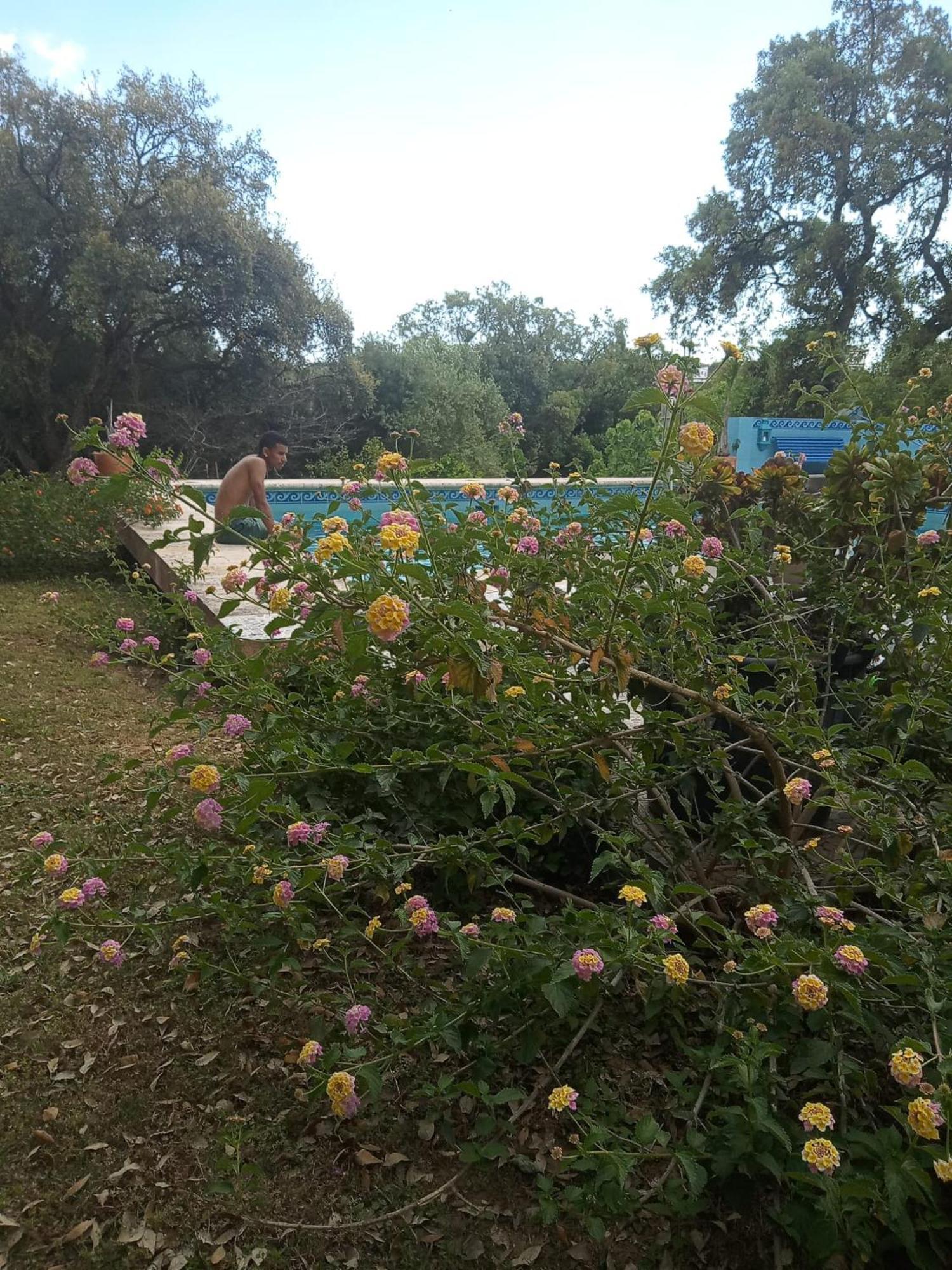 Sotogrande. Estancia Privada En Plena Naturaleza Bagian luar foto